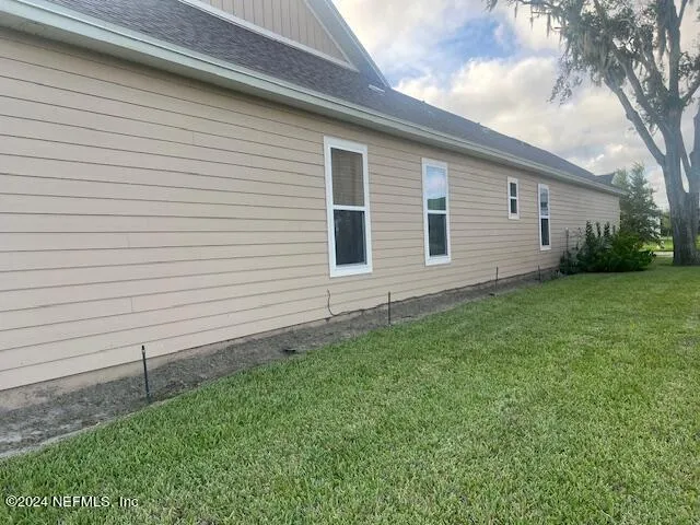 a view of a backyard with plants and large tree