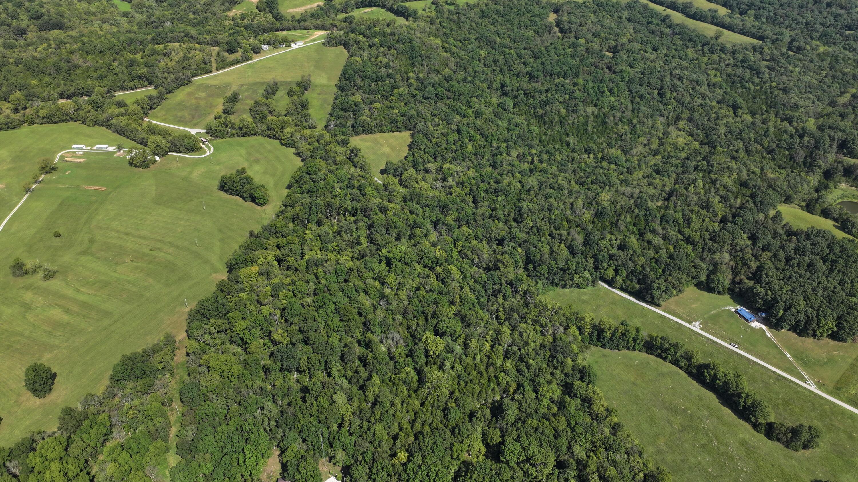 0 Pleasant Grove Road Corinth, KY 41010 - Photo 3 of 13 DJI_20260914121139_0001_D