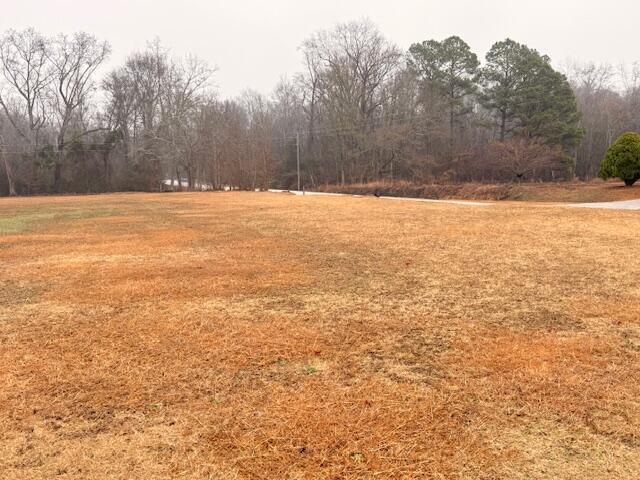 785 Westbury Mill Road Sumter, SC 29153 - Photo 1 of 3