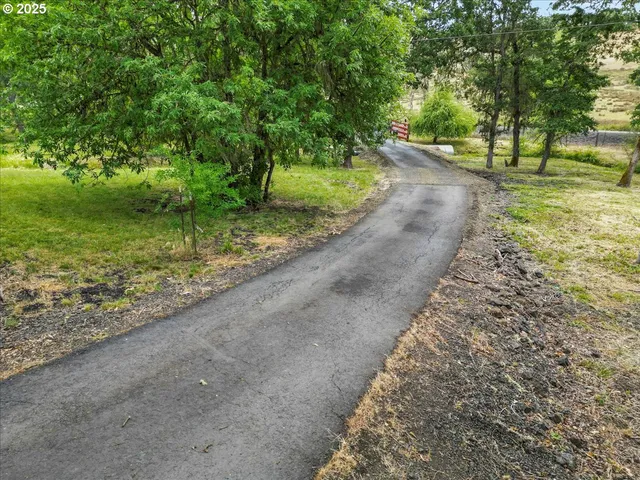 a view of a yard with a tree