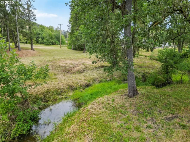 a view of a yard with trees