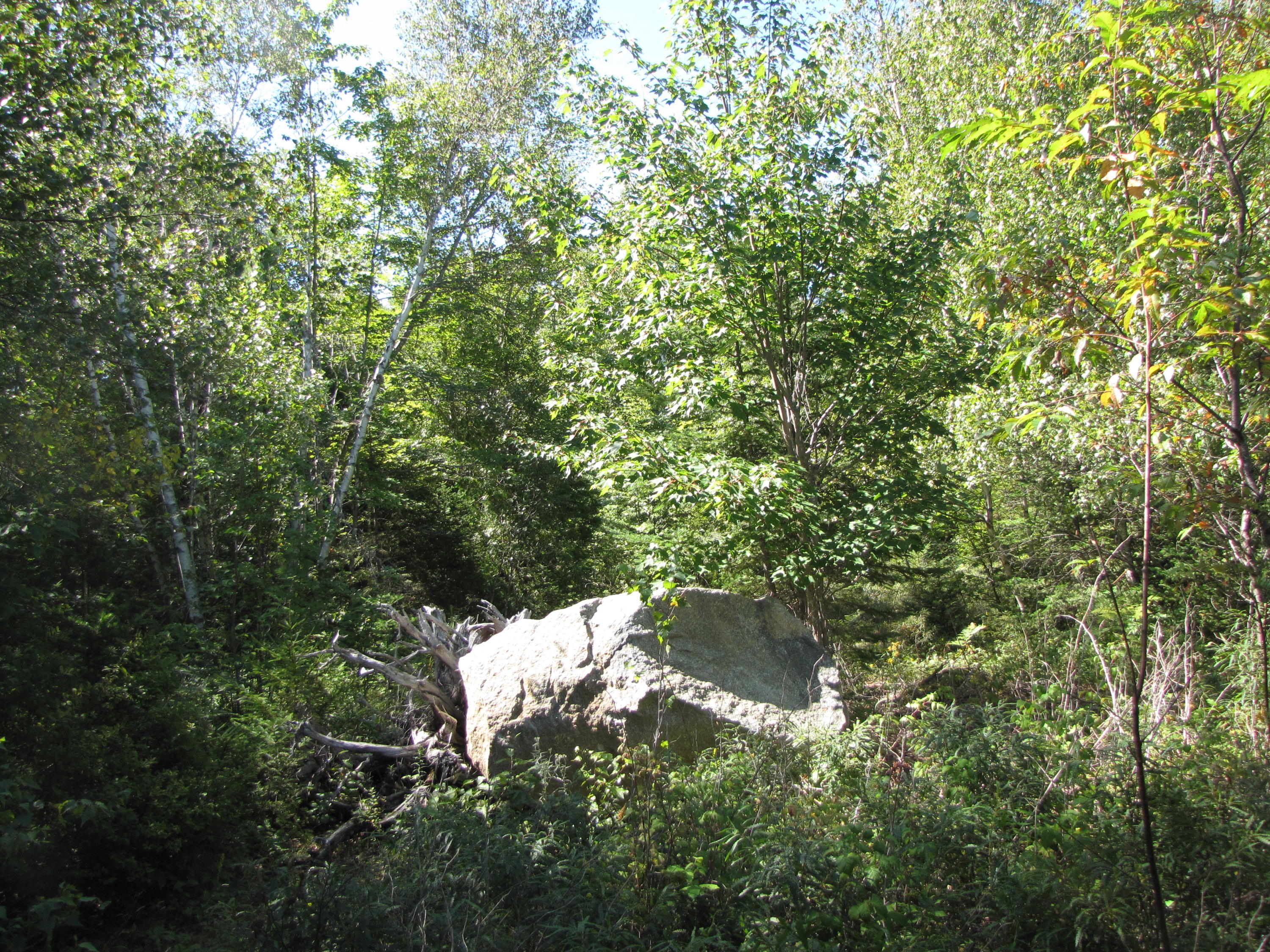 03 Plan Cherryfield, ME 04622 - Photo 14 of 36 IMG_0440