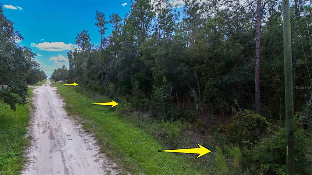 125th Terrace Road Dunnellon, FL 34432 - Photo 16 of 16 Gallery Image 16