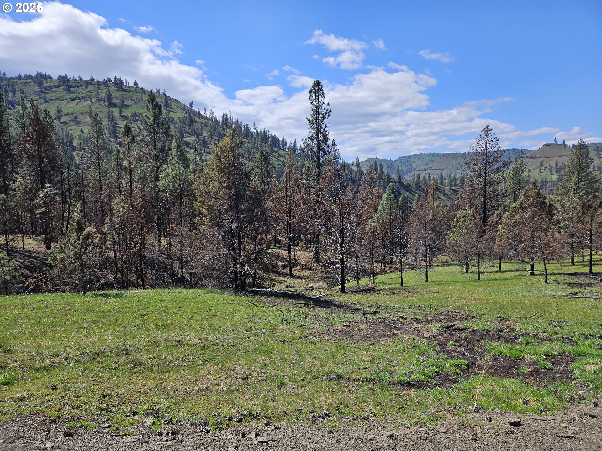 47345 Ritter Road Long Creek, OR 97856 - Photo 33 of 48