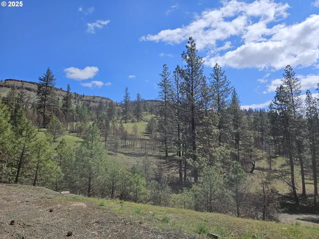 a view of outdoor space and city view