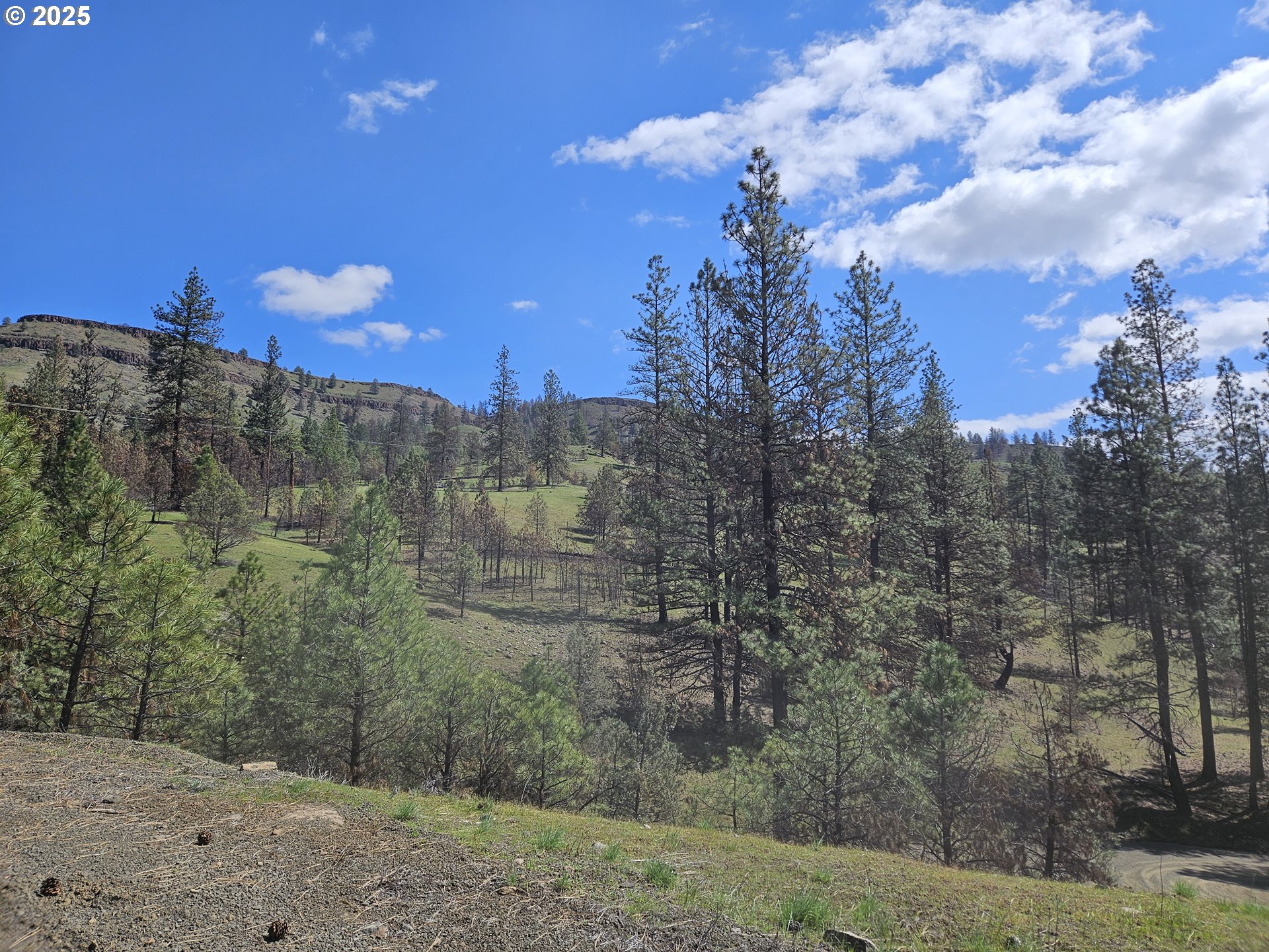 47345 Ritter Road Long Creek, OR 97856 - Photo 35 of 48
