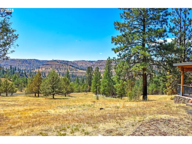 a view of a yard with a tree