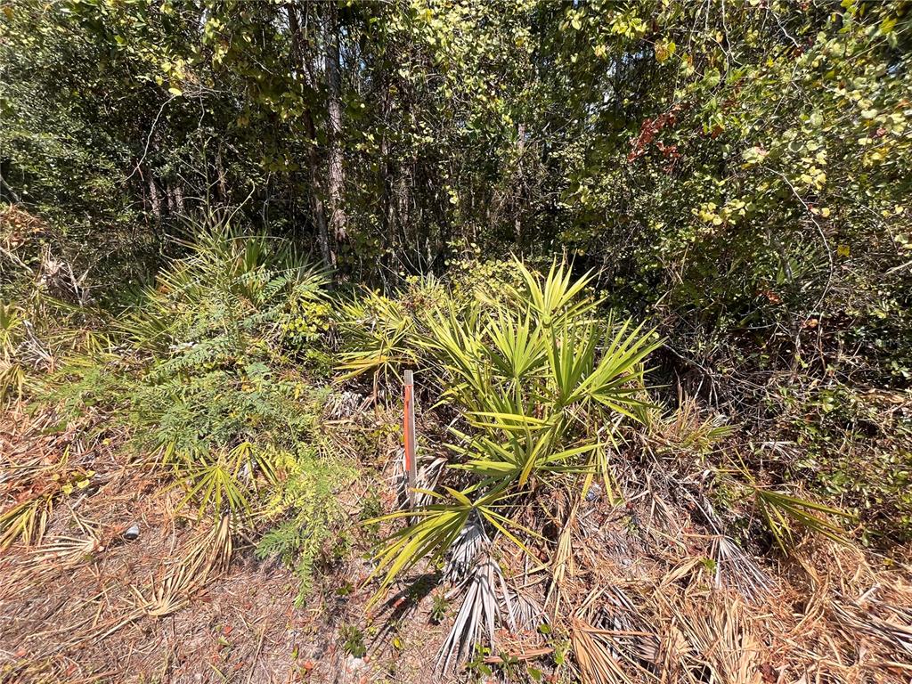 182 Millican Road Palatka, FL 32177 - Photo 6 of 12 Gallery Image 6