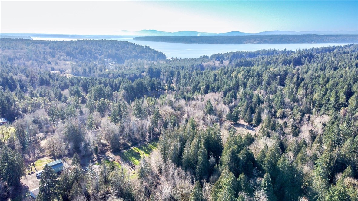 3009 Whiteman Road Southwest Lakebay, WA 98349 - Photo 1 of 35 a view of a lush green field