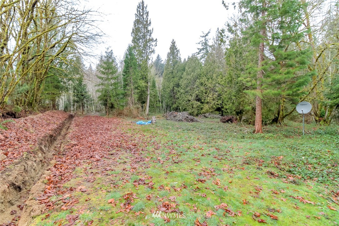 3009 Whiteman Road Southwest Lakebay, WA 98349 - Photo 14 of 35 a backyard of a house with lots of green space