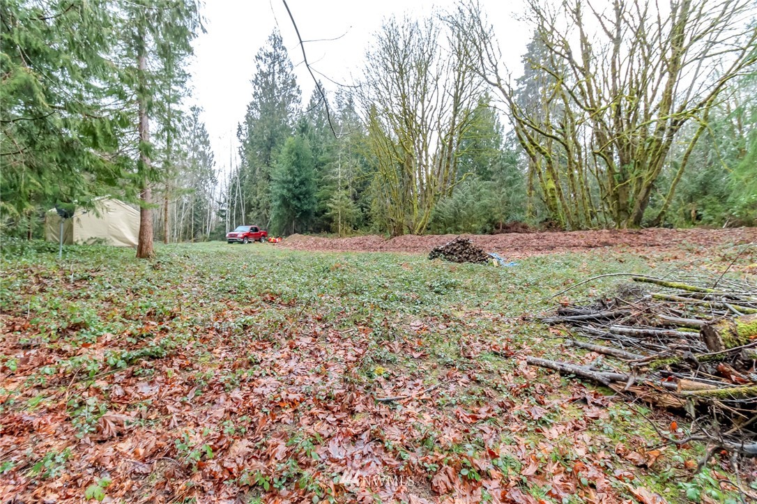 3009 Whiteman Road Southwest Lakebay, WA 98349 - Photo 17 of 35 a fire hydrant in the middle of a field