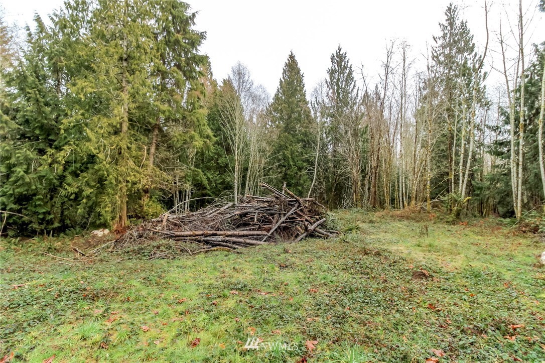 3009 Whiteman Road Southwest Lakebay, WA 98349 - Photo 20 of 35 a view of outdoor space and tree