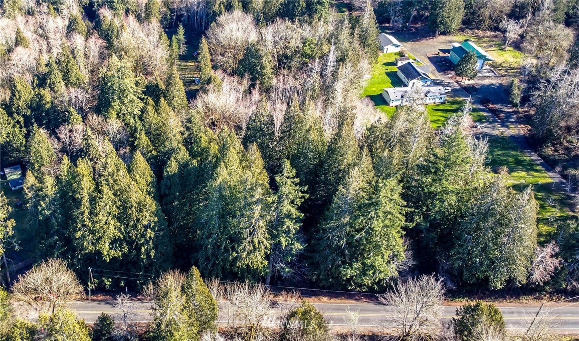 3009 Whiteman Road Southwest Lakebay, WA 98349 - Photo 2 of 35 a view of swimming pool and mountain