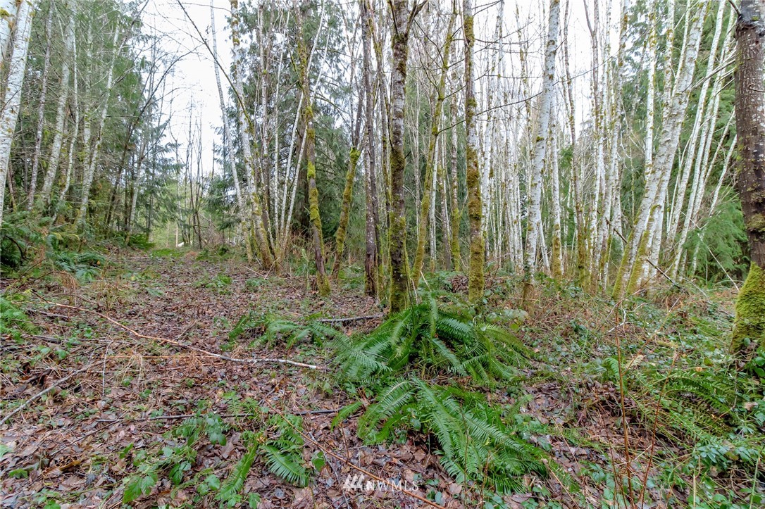 3009 Whiteman Road Southwest Lakebay, WA 98349 - Photo 23 of 35 a view of forest