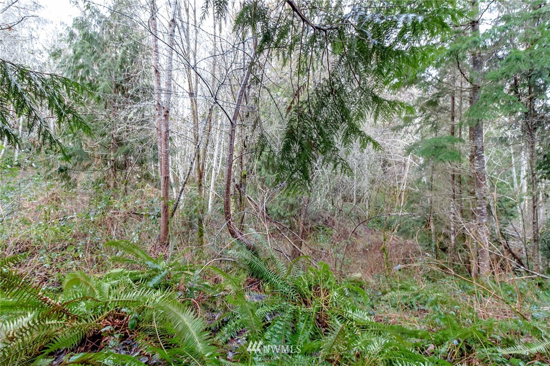 3009 Whiteman Road Southwest Lakebay, WA 98349 - Photo 26 of 35 a view of a yard
