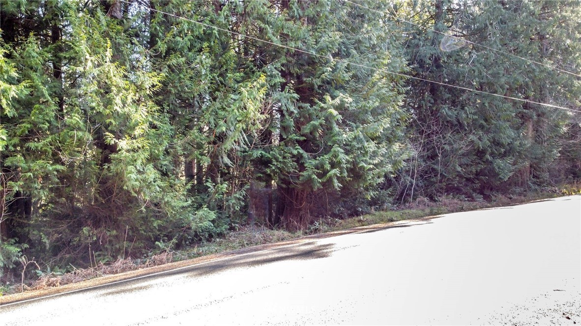 3009 Whiteman Road Southwest Lakebay, WA 98349 - Photo 27 of 35 a view of a yard with a tree