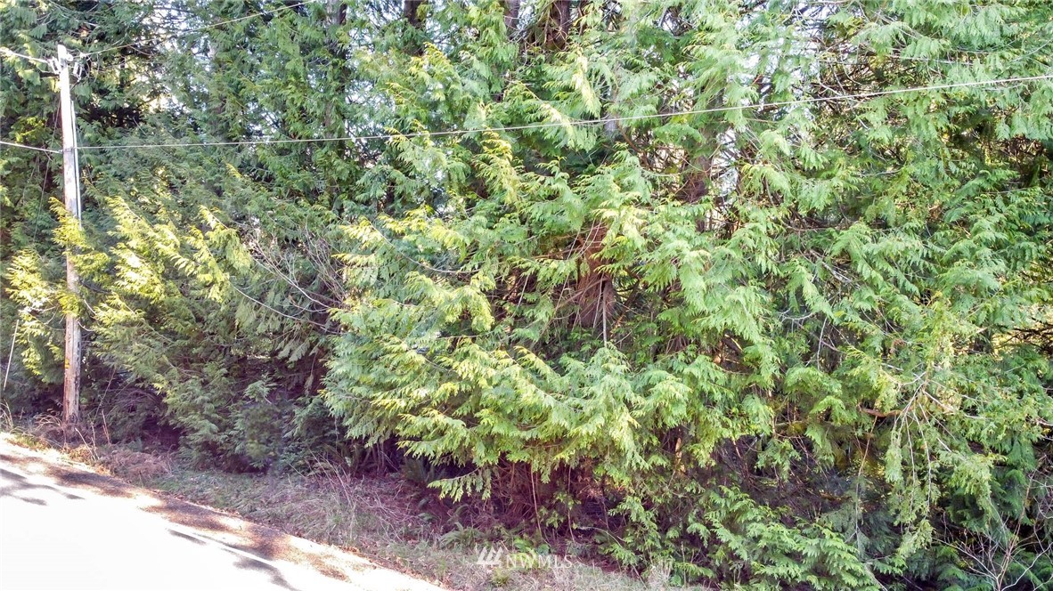 3009 Whiteman Road Southwest Lakebay, WA 98349 - Photo 29 of 35 a backyard of a house with lots of plants