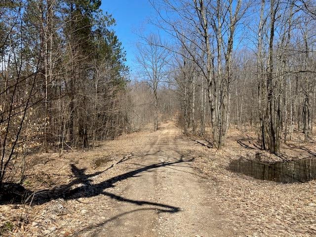 South Durkalic Road Pellston, MI 49769 - Photo 20 of 32