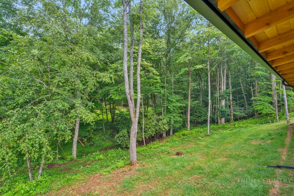 116 Coyote Trail Boone, NC 28607 - Photo 44 of 48