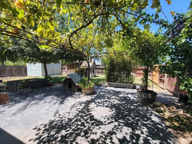 a view of a outdoor space with a tree