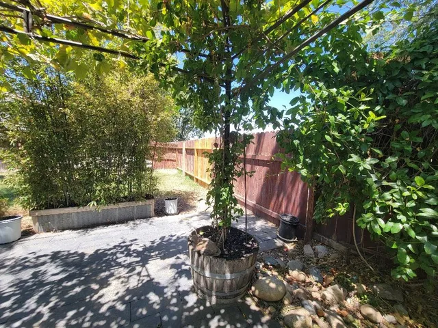 a view of a outdoor space