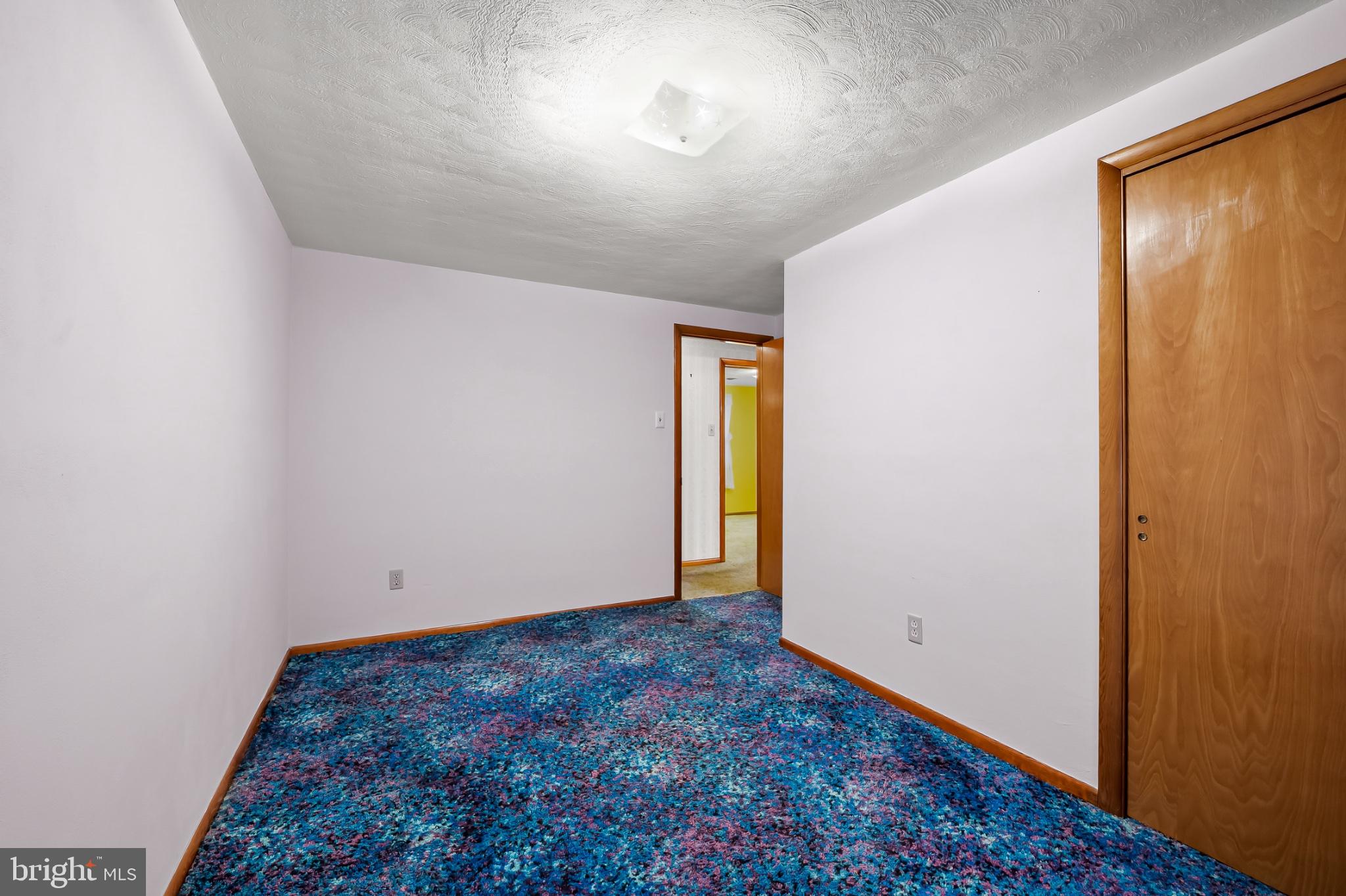 2100 Peterman Road Freeland, MD 21053 - Photo 18 of 36 Vibrant carpet meets fresh canvas.