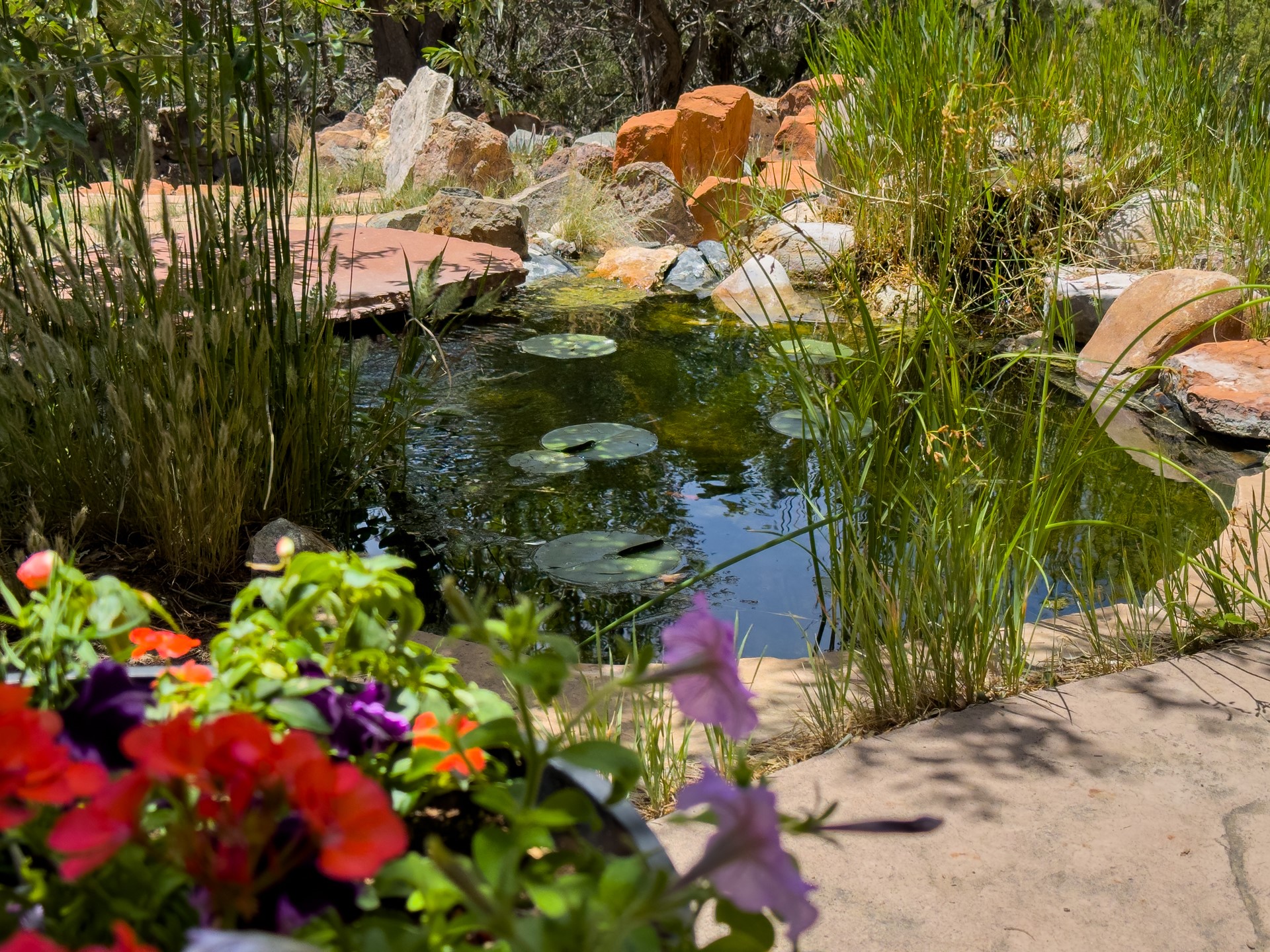 171 Silver Hills Road Santa Fe, NM 87508 - Photo 11 of 53