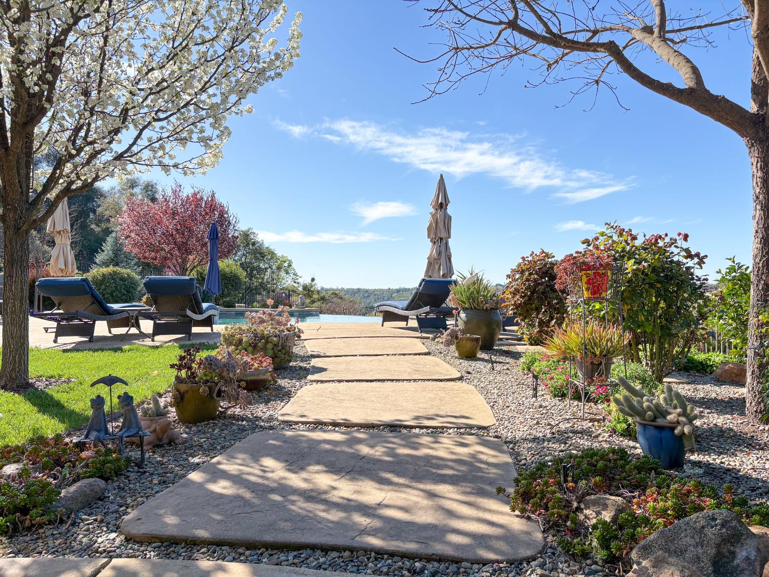 2920 Martel Creek Road Rescue, CA 95672 - Photo 43 of 69 a view of a yard with an outdoor space