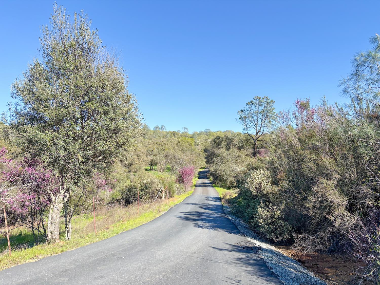 2920 Martel Creek Road Rescue, CA 95672 - Photo 57 of 69