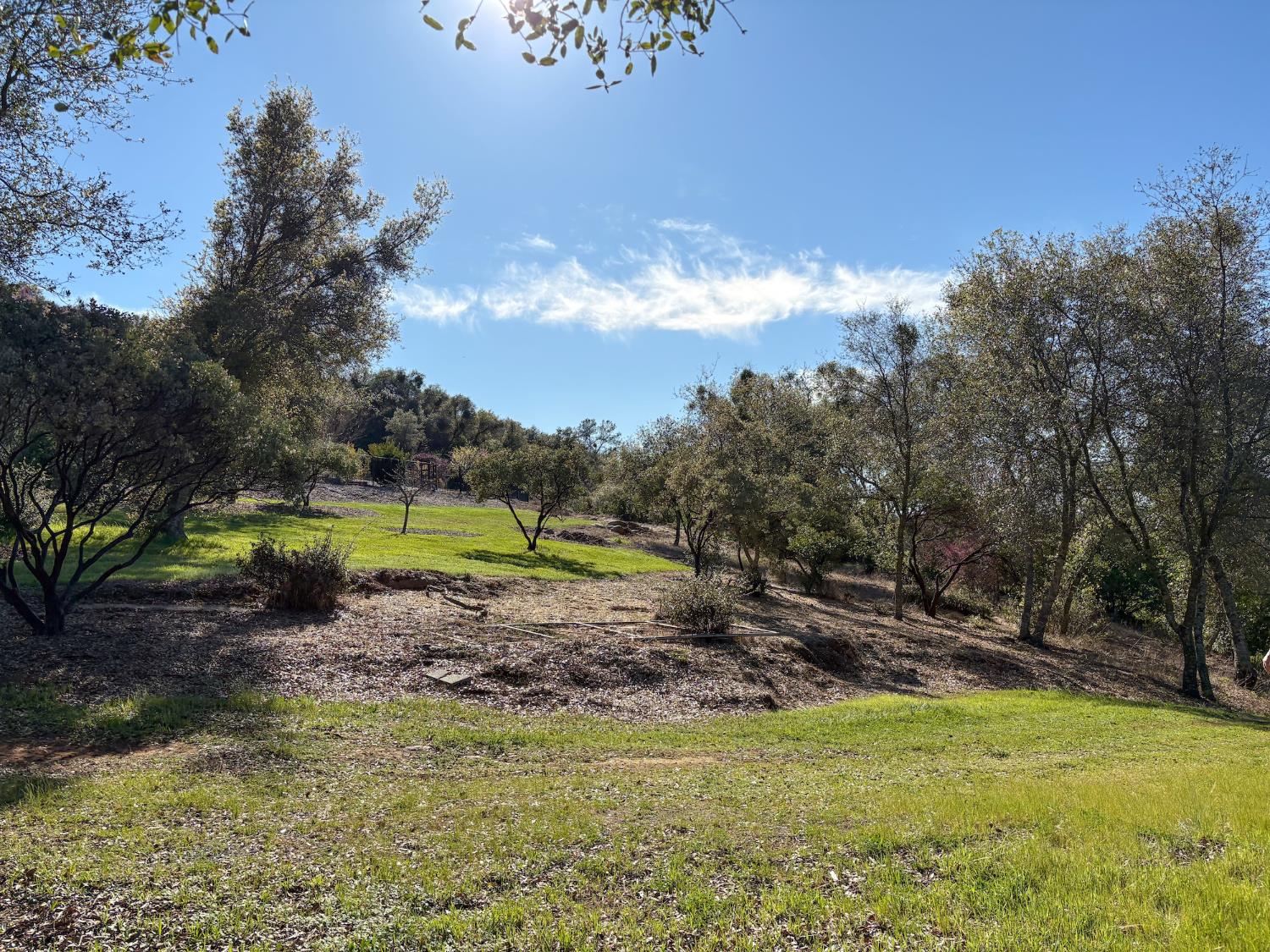 2920 Martel Creek Road Rescue, CA 95672 - Photo 67 of 69 a view of a park with large trees