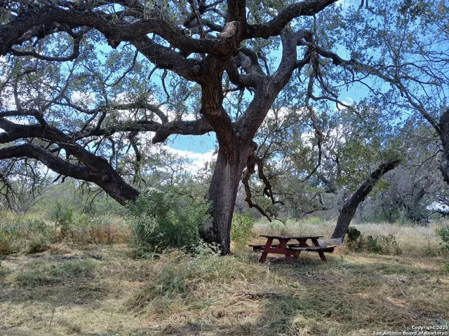 a view of a wooden bench sitting in a forest