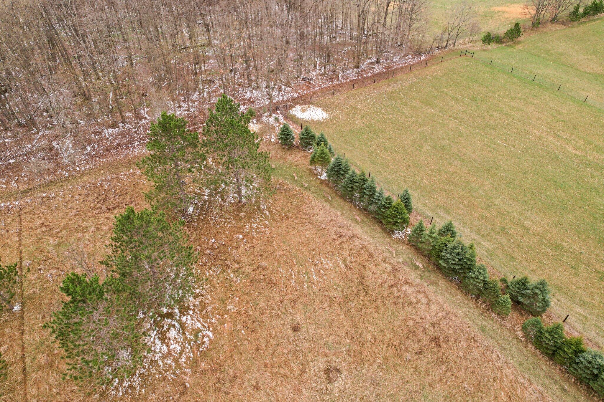 10243 7 Mile Road Evart, MI 49631 - Photo 6 of 14 6-web-or-mls-DJI_0016