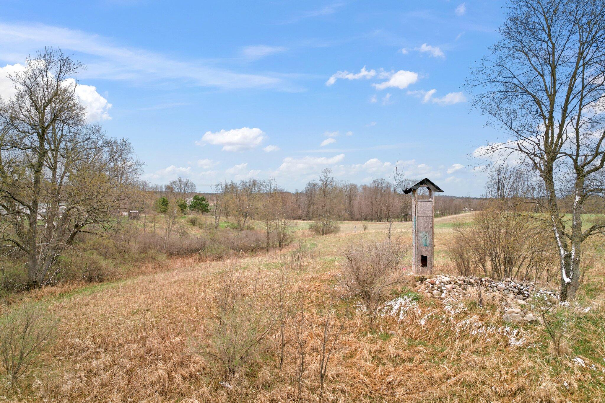 10243 7 Mile Road Evart, MI 49631 - Photo 8 of 14 8-web-or-mls-DJI_0018