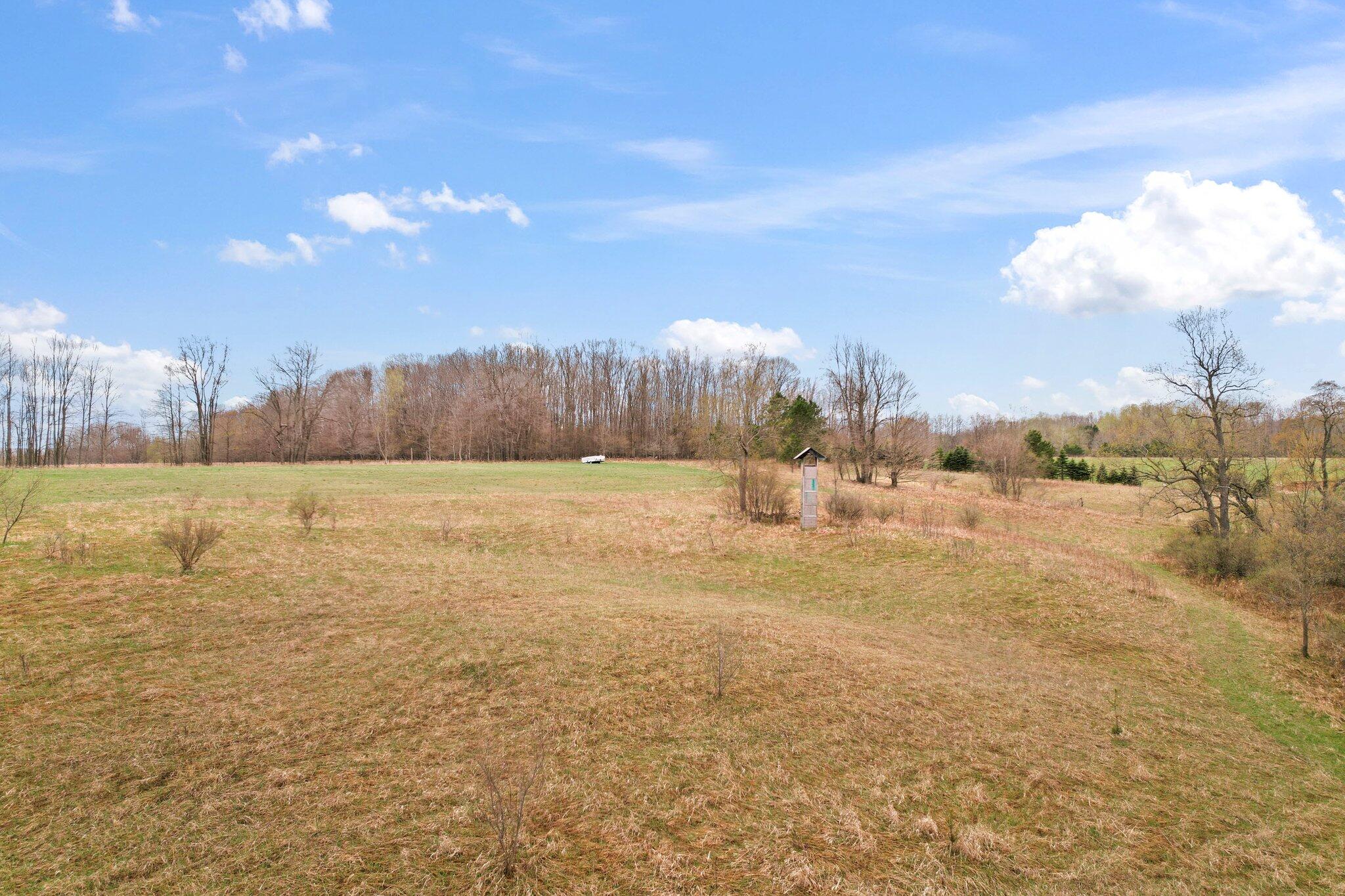 10243 7 Mile Road Evart, MI 49631 - Photo 9 of 14 9-web-or-mls-DJI_0019