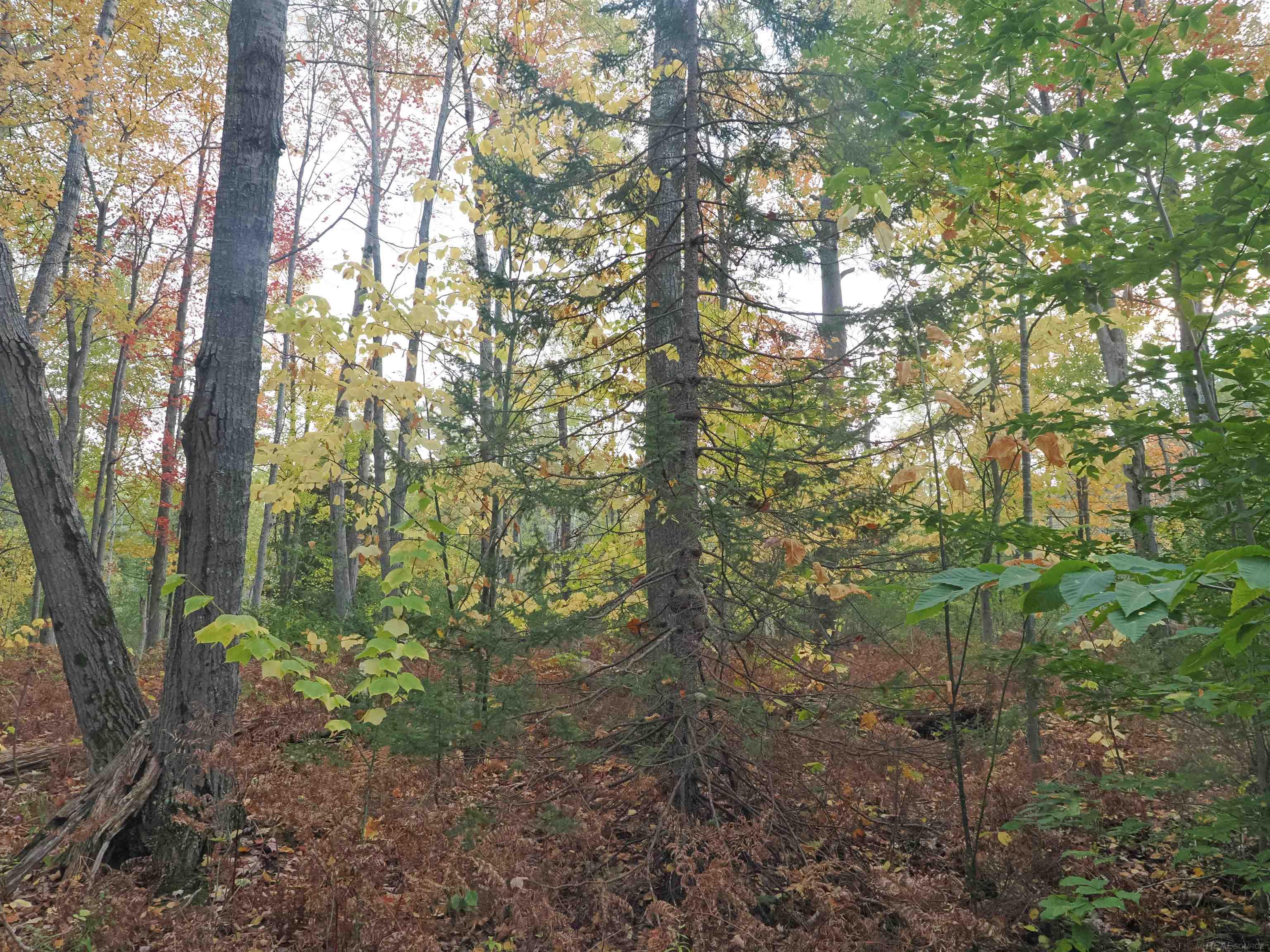 Xxx Tolan Road Spruce, MI 48762 - Photo 61 of 79