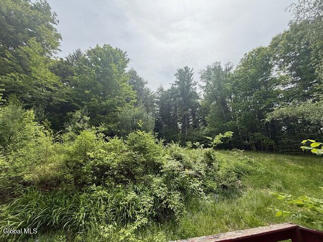 425 Barton Hill Road Delanson, NY 12053 - Photo 29 of 29 IMG_9204