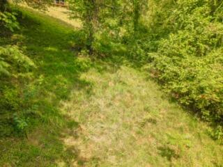 Lot 19-38 Plainview Road Nancy, KY 42544 - Photo 23 of 39 Plain View Photo-09