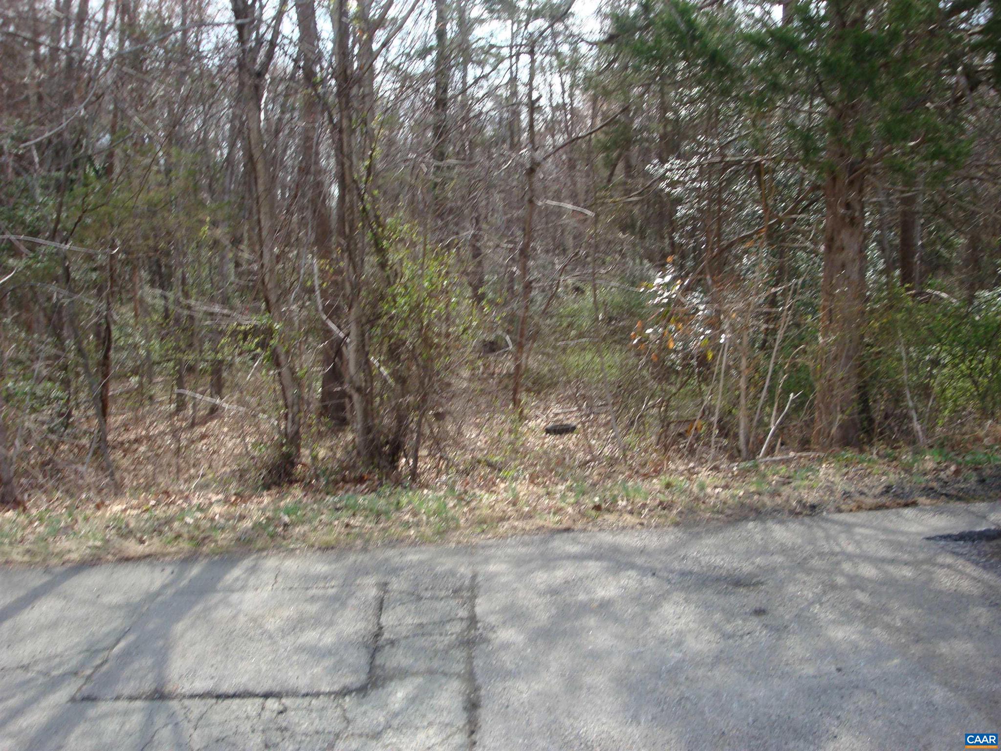 60 Heatherton Drive, Unit 60 Ruckersville, VA 22968 - Photo 3 of 3