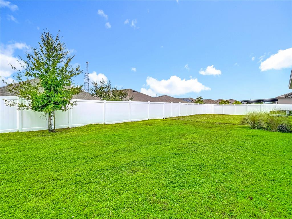 14917 Tropical Violet Way Wimauma, FL 33598 - Photo 55 of 77 a view of yard with green space
