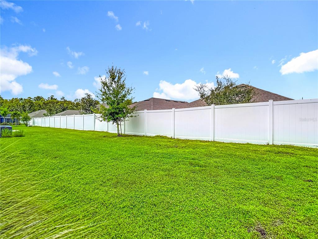 14917 Tropical Violet Way Wimauma, FL 33598 - Photo 58 of 77 a view of a back yard