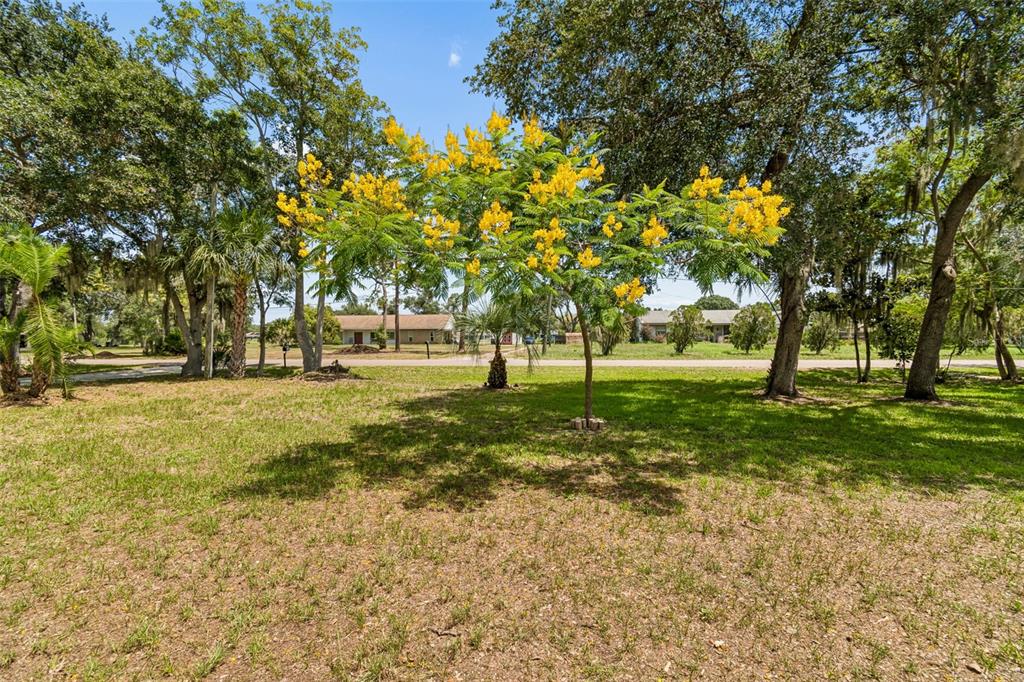 9619 Springbrook Drive Riverview, FL 33578 - Photo 9 of 55