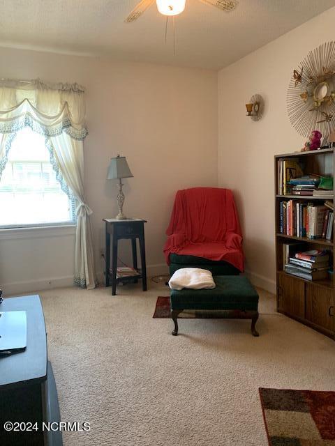 4719 River Road Wilson, NC 27893 - Photo 15 of 18 3rd bedroom is used as a sitting room