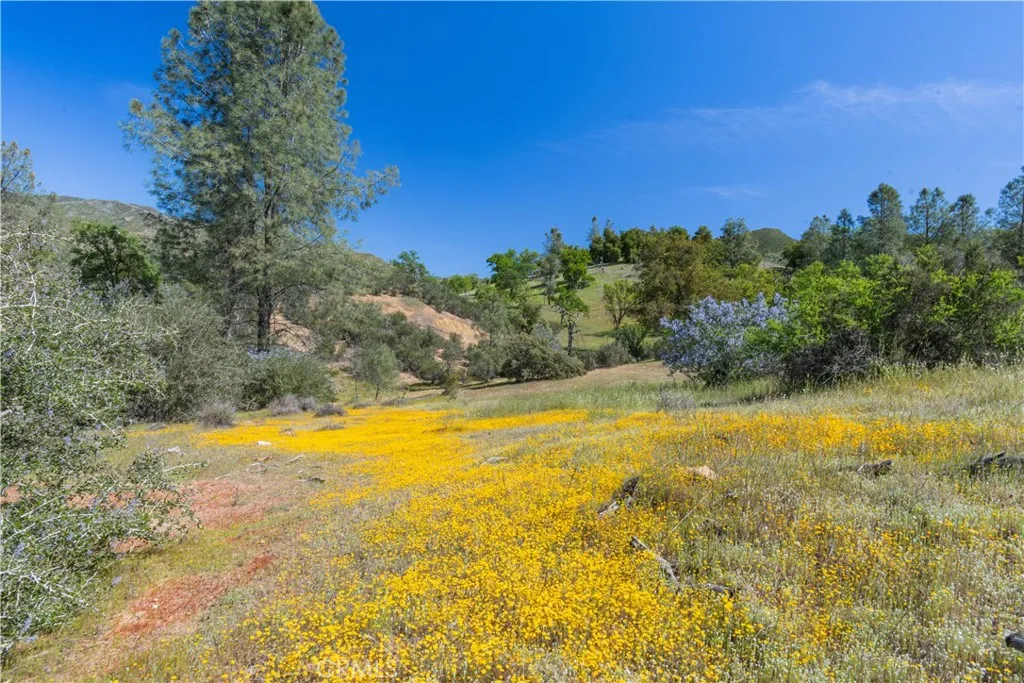 0 Av Ranch Lockwood, CA 93932 - Photo 14 of 26 a view of a yard with swimming pool and green space