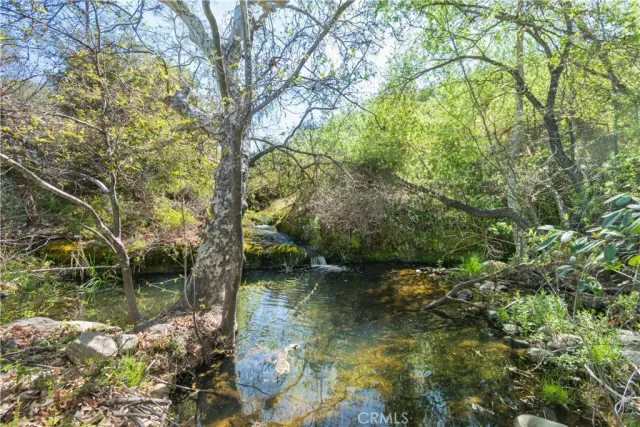 a view of a lake with a tree