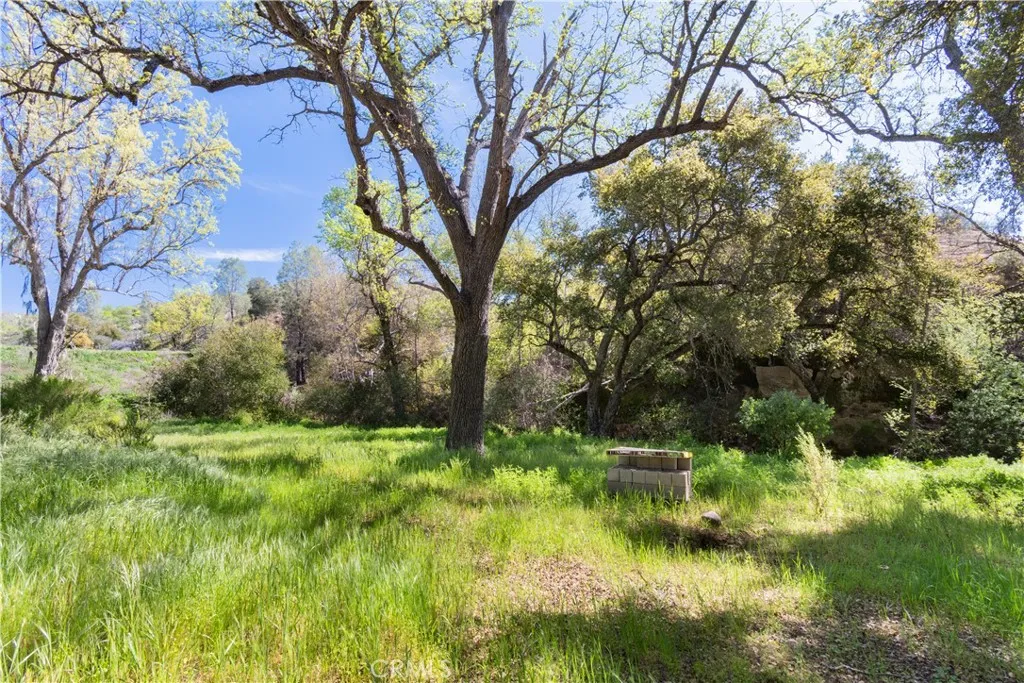 0 Av Ranch Lockwood, CA 93932 - Photo 7 of 26 a backyard of a house with lots of green space