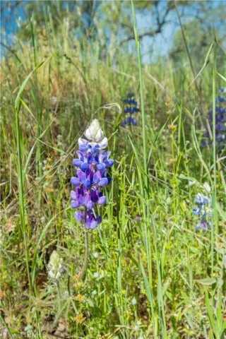 a bathroom with a shower curtain