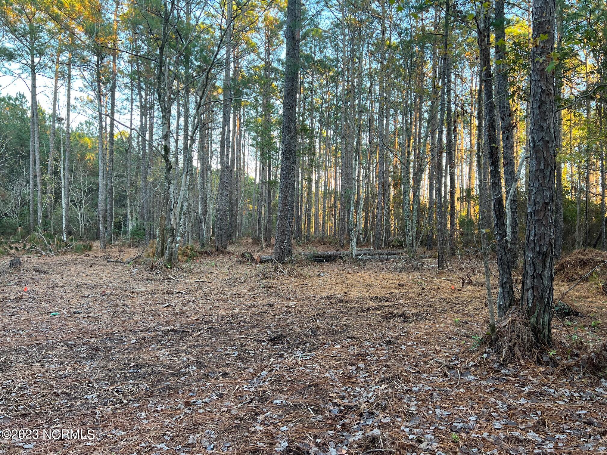 530 Firetower Road Beaufort, NC 28516 - Photo 2 of 10 IMG_0647