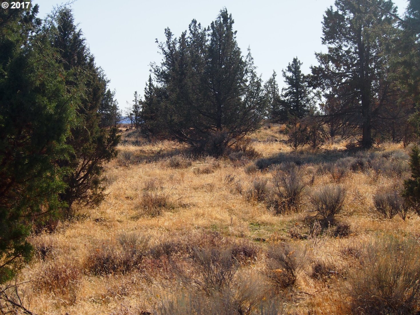 Paulson Road Maupin, OR 97037 - Photo 3 of 7 Gallery Image 3