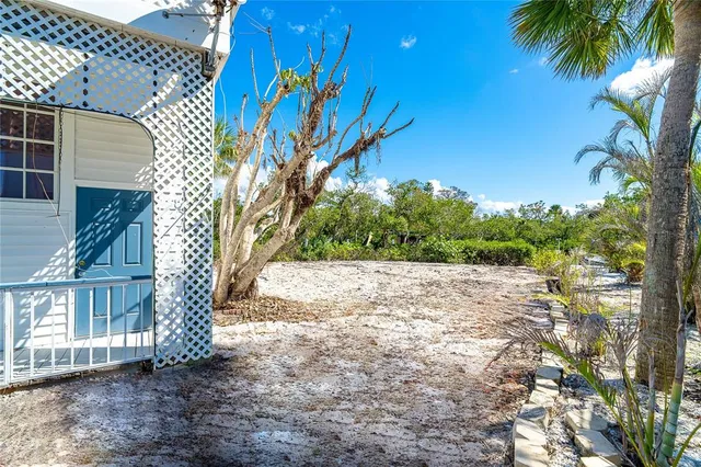 a view of a yard with a tree