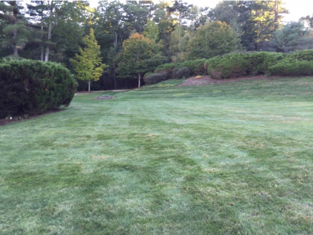 2-8 Swain Road Meredith, NH 03253 - Photo 21 of 27